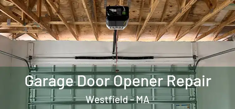  Garage Door Opener Repair Westfield - MA