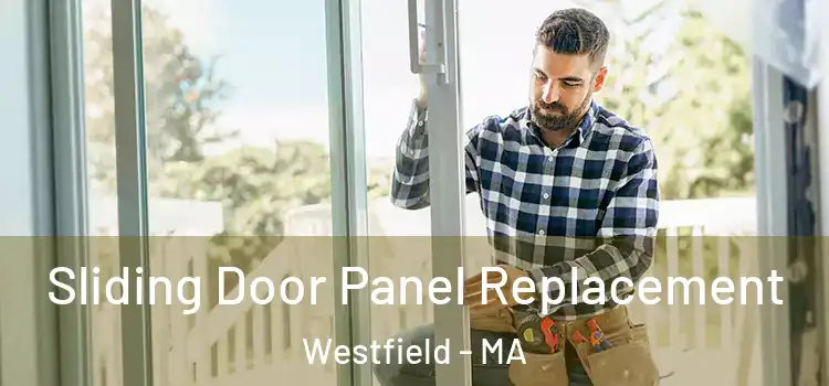  Sliding Door Panel Replacement Westfield - MA